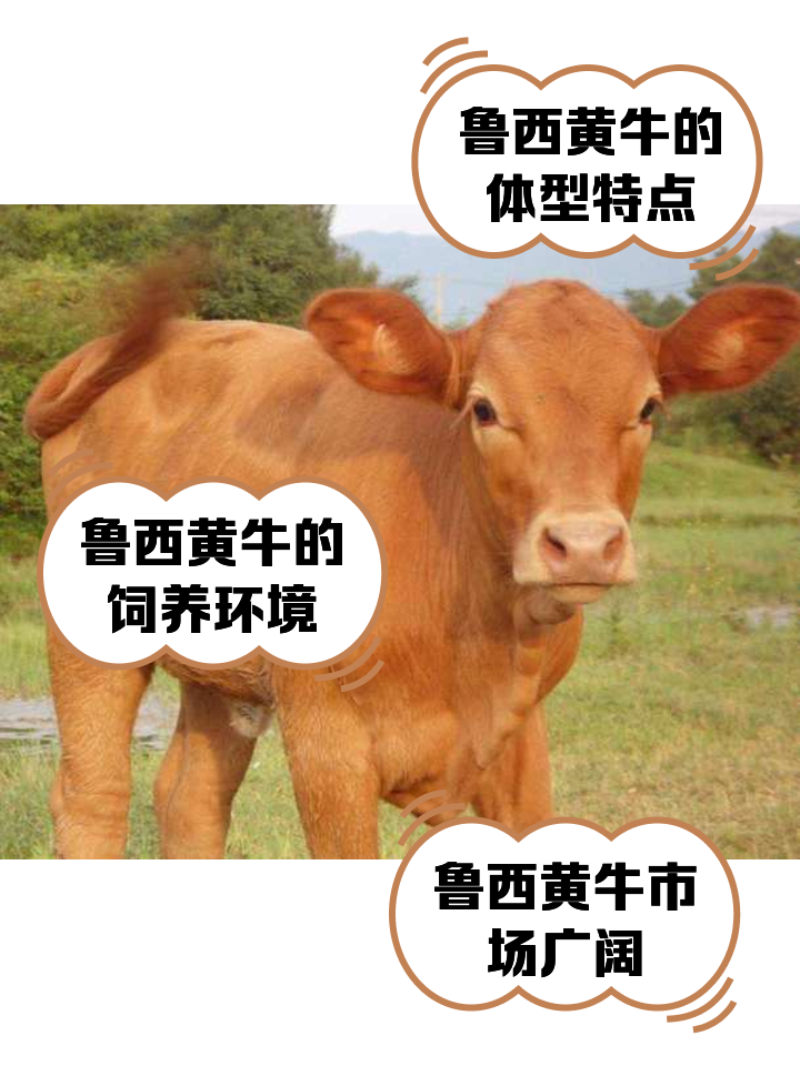 崇左最新医保取现黄牛方法分析(最方便真实的崇左医保取现黄牛怎么取方法)